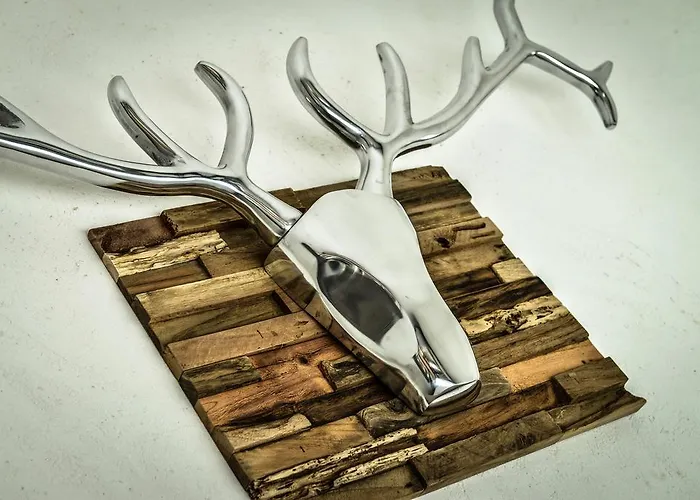 公寓 Sonn Alpin - Grän